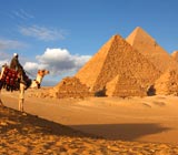 Reise nach Ägypten gewonnen